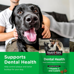 Nutri-Vet Dental Health Soft Chews dans la main, bouchée savoureuse pour l'hygiène dentaire quotidienne.