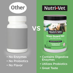 Nutri-Vet Grass Guard tablettes-digestion, favorisent une digestion équilibrée.