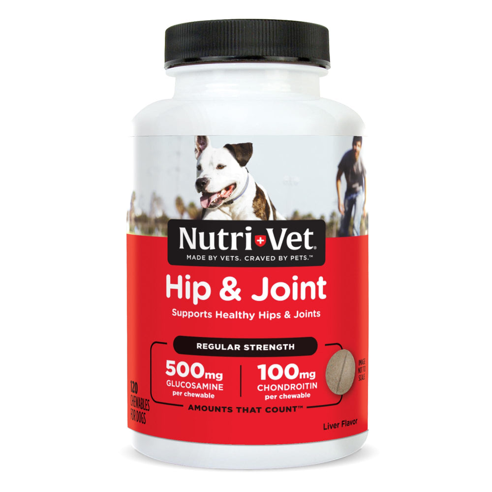Nutri-Vet hip et articulation : comprimé pour soutenir la mobilité des chiens.