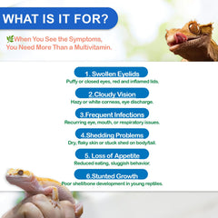 NUTRIARISE Vitamine A pour reptiles – capsules, dosage précis pour nourrir l'alimentation.
