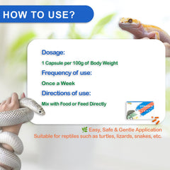 NUTRIARISE Vitamine A pour reptiles – soutien potentiel à la vision et au système immunitaire.
