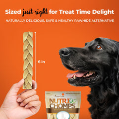 NutriChomps texture équilibrée: facile à mâcher pour chiens sensibles.