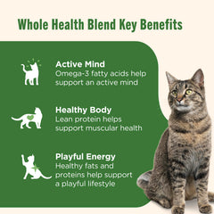 Nutrish Chat Purrcata: pâte sans céréales adaptée aux chats sensibles.