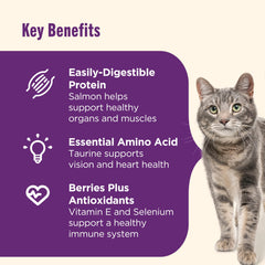Nutrish Senior Healthy Aging croquettes aux baies, antioxydants pour l'immunité.