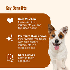 Sans rawhide Nutrish Soup Bones Minis bouchées faciles à mâcher