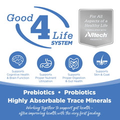 NutriSource prebiotiques-probiotiques-digestion-chat: soutien potentiel pour une digestion harmonieuse.