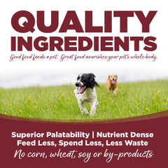 NutriSource-prebiotiques-probiotiques-digestion, soutien potentiel pour la digestion canine.