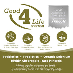 NutriSource prébiotiques et probiotiques, soutien digestif potentiel pour chiens.