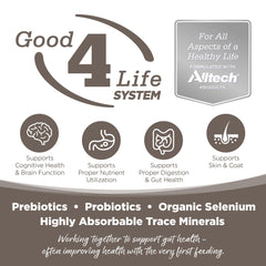 NutriSource Senior pro biotiques et prébiotiques pour une flore intestinale équilibrée.