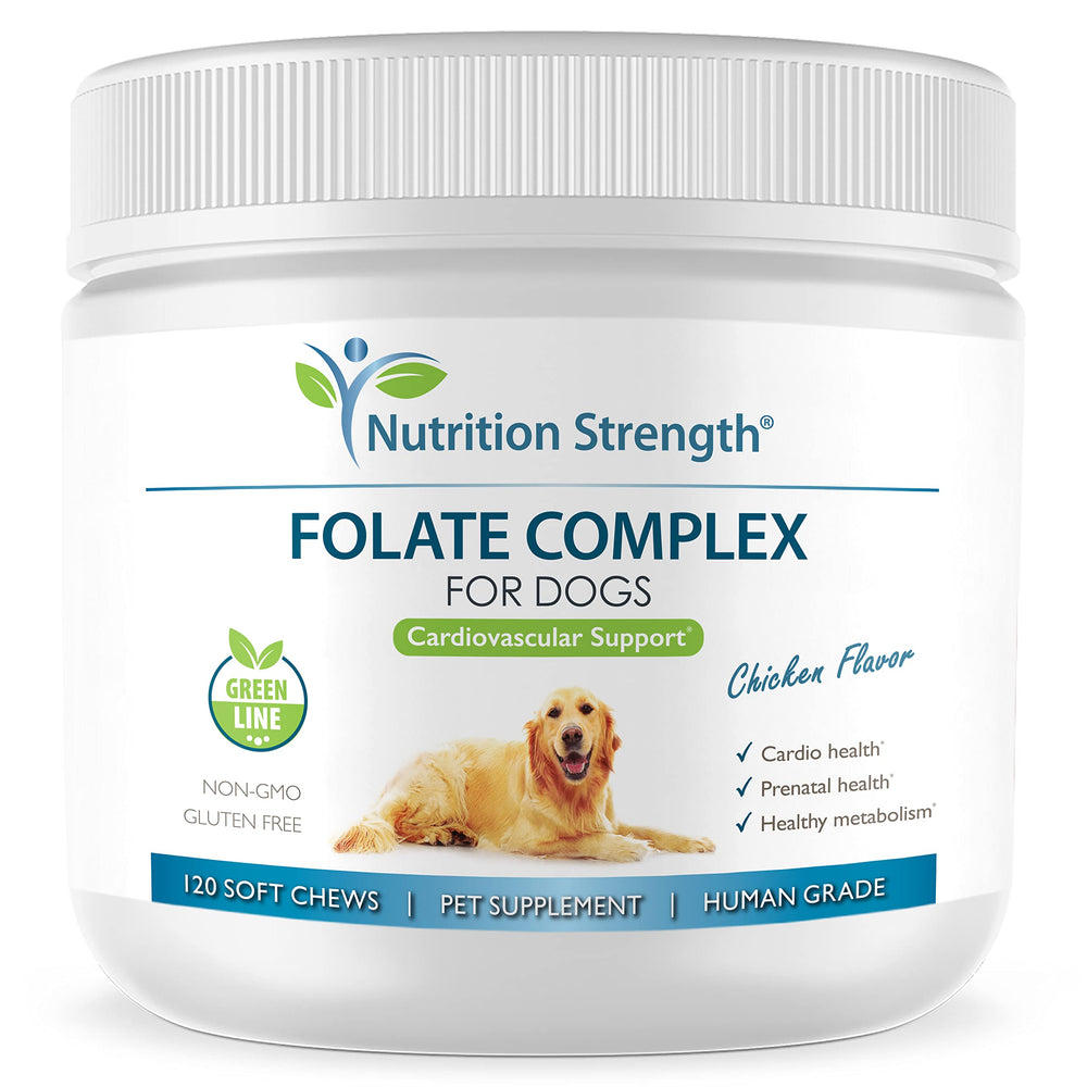 Nutrition Strength Acide folique pour chiens, emballage bouteille, apport quotidien pratique.