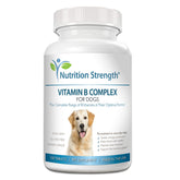 Nutrition Strength – tablettes masticables B pour chien, énergie et bien-être
