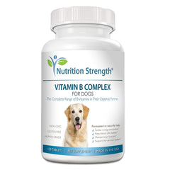 Nutrition Strength – tablettes masticables B pour chien, énergie et bien-être