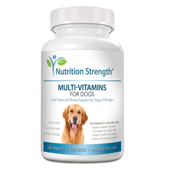 Nutrition Strength – Bouteille de comprimés masticables pour chien, soutient la vitalité au quotidien.