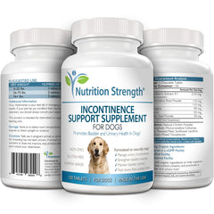 Le chien de tout âge peut profiter du complément Nutrition Strength au quotidien.