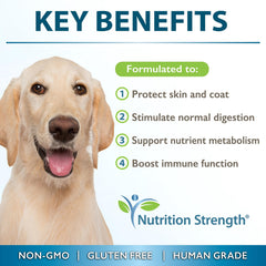 Nutrition Strength gels MCT pour chien – gélules souples.