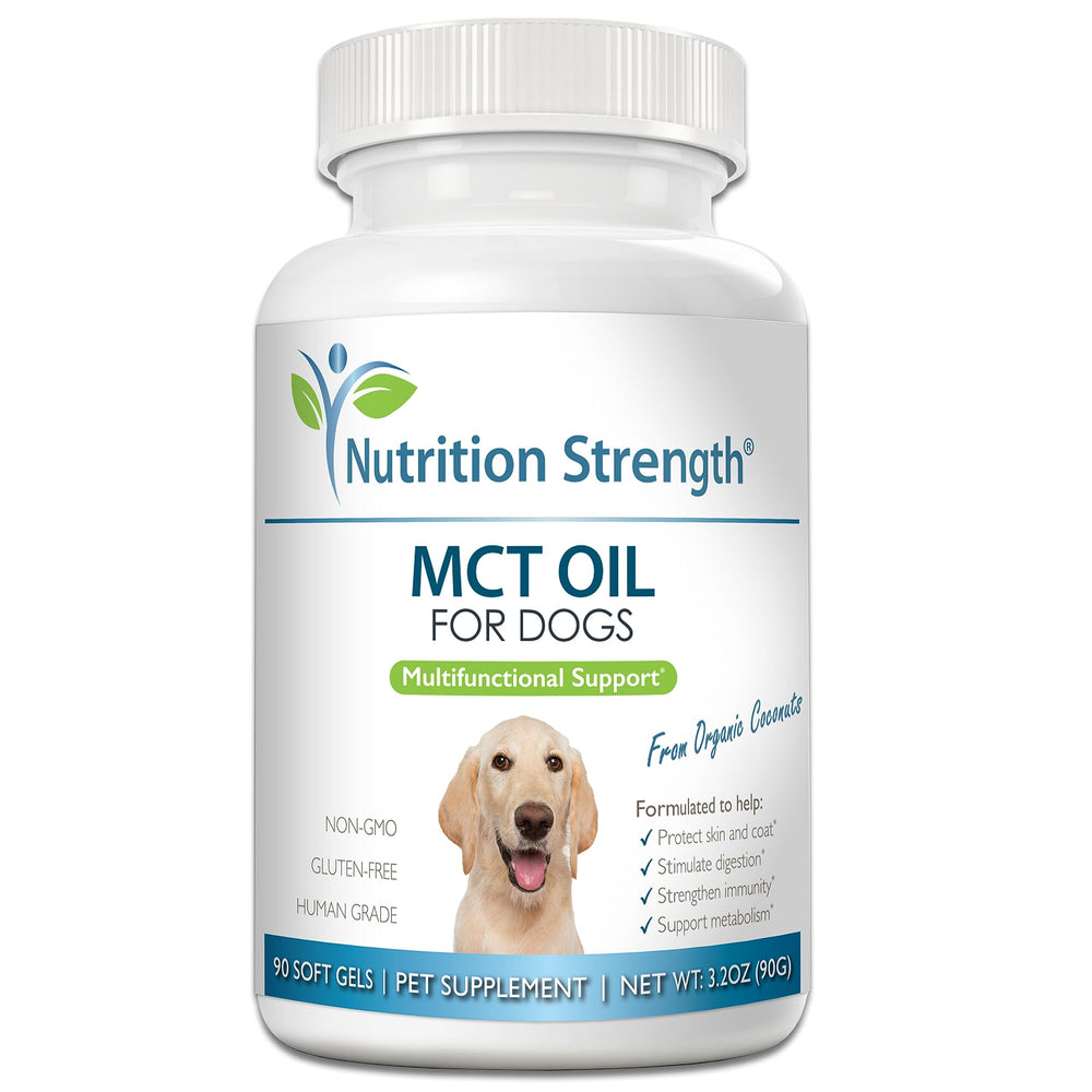 Nutrition Strength huile MCT chien – bouteille claire; soutien peau et pelage.