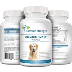 Nutrition Strength B – soutien cardiovasculaire et régulation du glucose chien