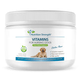Nutrition Strength – vitamines allaitement chien en bouteille