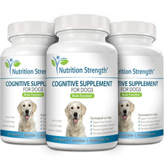 Vitamines B et E pour le cerveau du chien, selon la formulation Nutrition Strength.