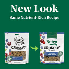 Nutro ingrédients protéines de qualité: base solide pour des friandises nutritives.