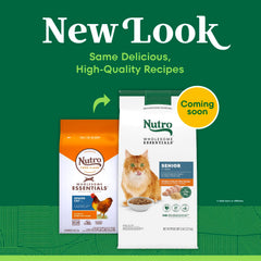 Nutro senior croquettes detail texture — texture croquante visible