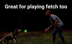 Balles lumineuses NW Athletics pour chien, visibles en extérieur et favorisent l'exercice.