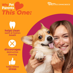 Nylabone Wishbone avec 3 extrémités de mastication pour varier l’expérience.