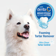 Nylabone Advanced Oral Care – application près des gencives pour bouche propre