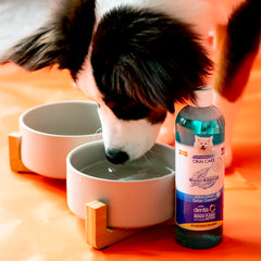 Nylabone Advanced Oral Care — dose goutte visible facilitant l’ajout dans l’eau