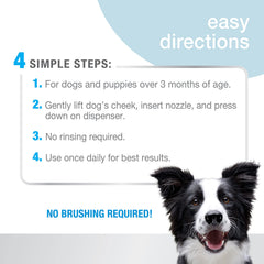 Nylabone Advanced Oral Care – doseur en action pour application sans brossage