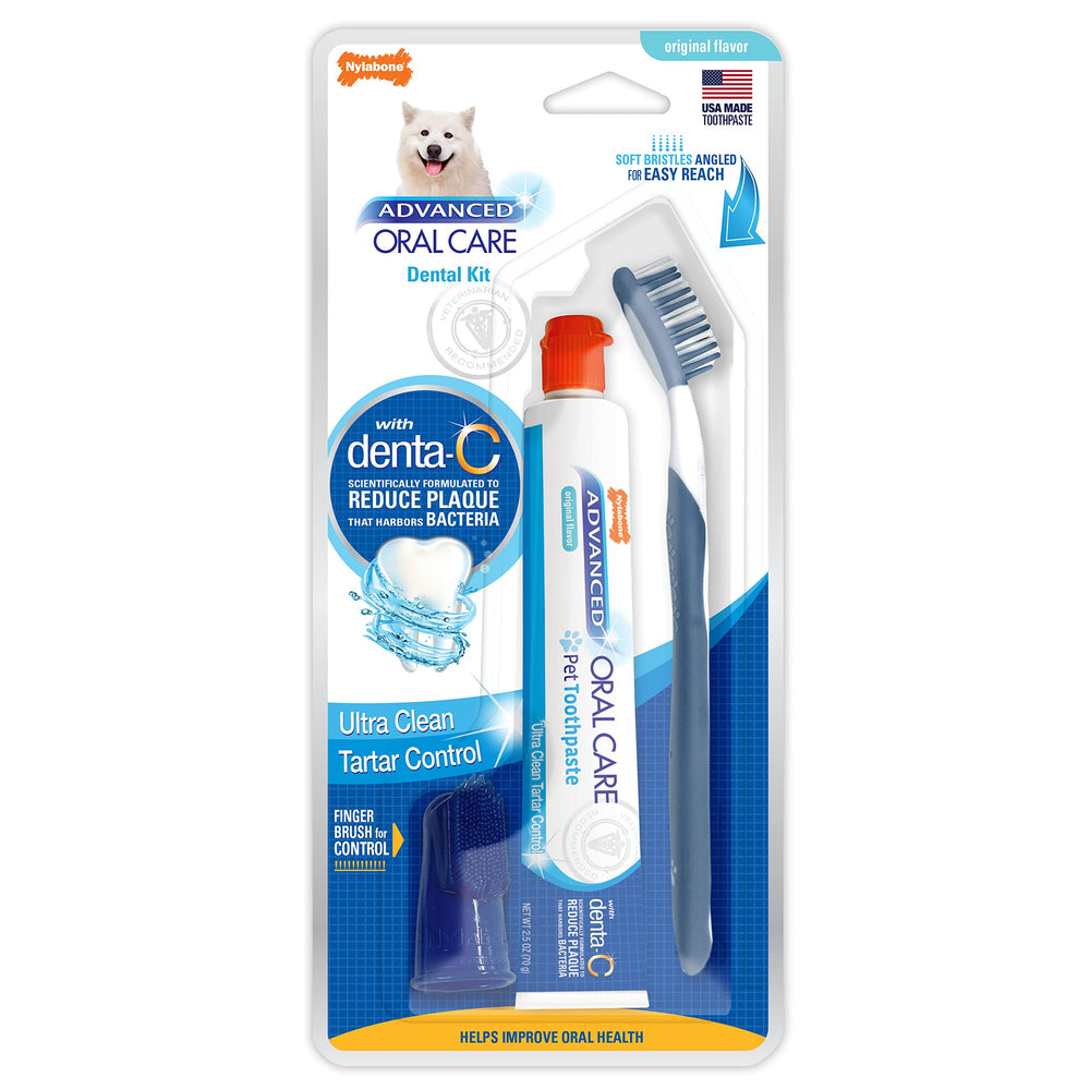 Nylabone Kit hygiène bucco-dentaire : brosse angulée pour nettoyer plus facilement les dents.