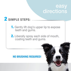 Nylabone Advanced Oral Care Spray : application sur dents et gencives pour réduction de plaque.