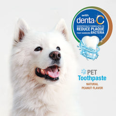 Formule Denta-C du dentifrice Nylabone, conçue pour réduire la plaque.