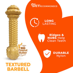 Nylabone Barbell Mastication Intense – conçu pour les mâcheurs les plus exigeants.