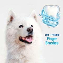 Nylabone brosse doigt dentaire avancée pour chien, utilisé avec dentifrice canin