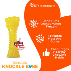 Nylabone changement-de-couleur-chiot: indique que le jouet est congelé