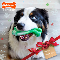 Nylabone Curvy texture crêtes et bosses, stimulation lors des morsures.