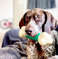 Centre en caoutchouc doux du Nylabone pour une sensation agréable.