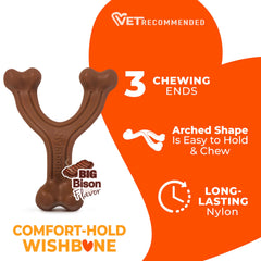 Nylabone: fabriqué aux États‑Unis, contrôle qualité et fiabilité.