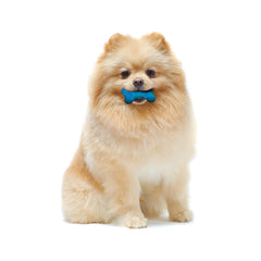 Nylabone os souple reliefs dentaires, aide potentielle au nettoyage des dents.