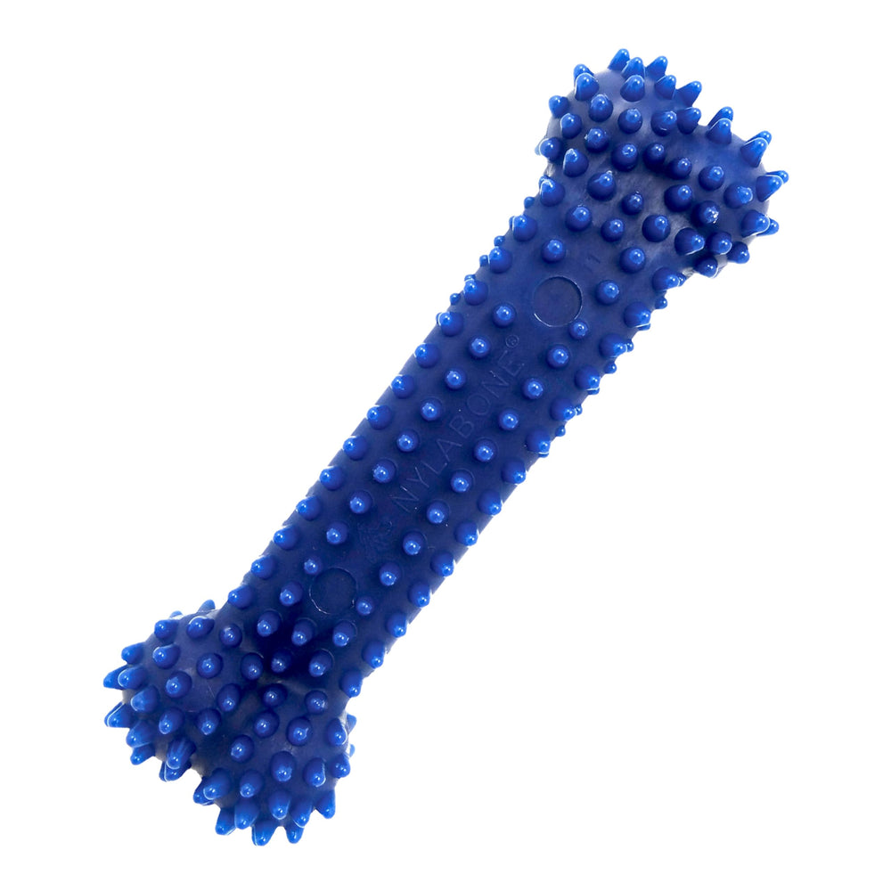 Nylabone Flexi Chew texteure dentale, aide à réduire plaque et tartre pendant la mastication.