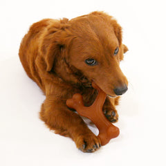 Nylabone Gourmet Style Mordeur Durable : jouet robuste pour morsures puissantes.