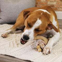 Nylabone Gourmet Style Wishbone — Goût poulet : saveur savoureuse qui stimule le jeu.