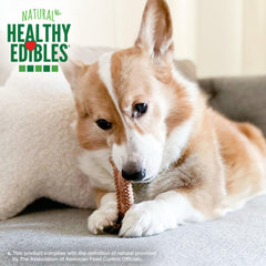 Nylabone Healthy Edibles: ingrédients limités, sans colorants, arômes ni conservateurs artificiels.