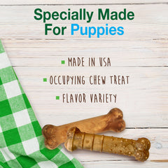 Nylabone Healthy Edibles turkey-apple, saveurs variées pour chiots curieux