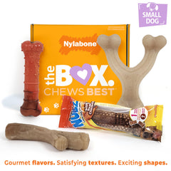 Jouet baton nylabone saveurs poulet pour mâcher et stimulation sensorielle.
