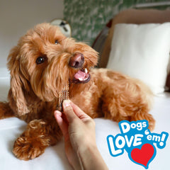Nylabone Nubz fabrication aux États‑Unis, qualité et standards