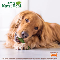 Nylabone Nutri Dent ingrédients naturels et digestibles