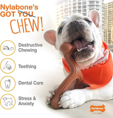 Nylon durable pour mâchoires actives et agressives.