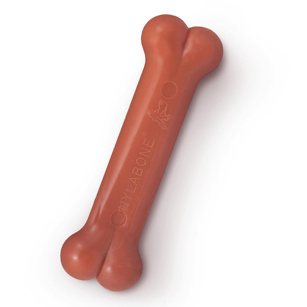 Nylabone os-classic pour chien, jouet à mâcher robuste et durable.